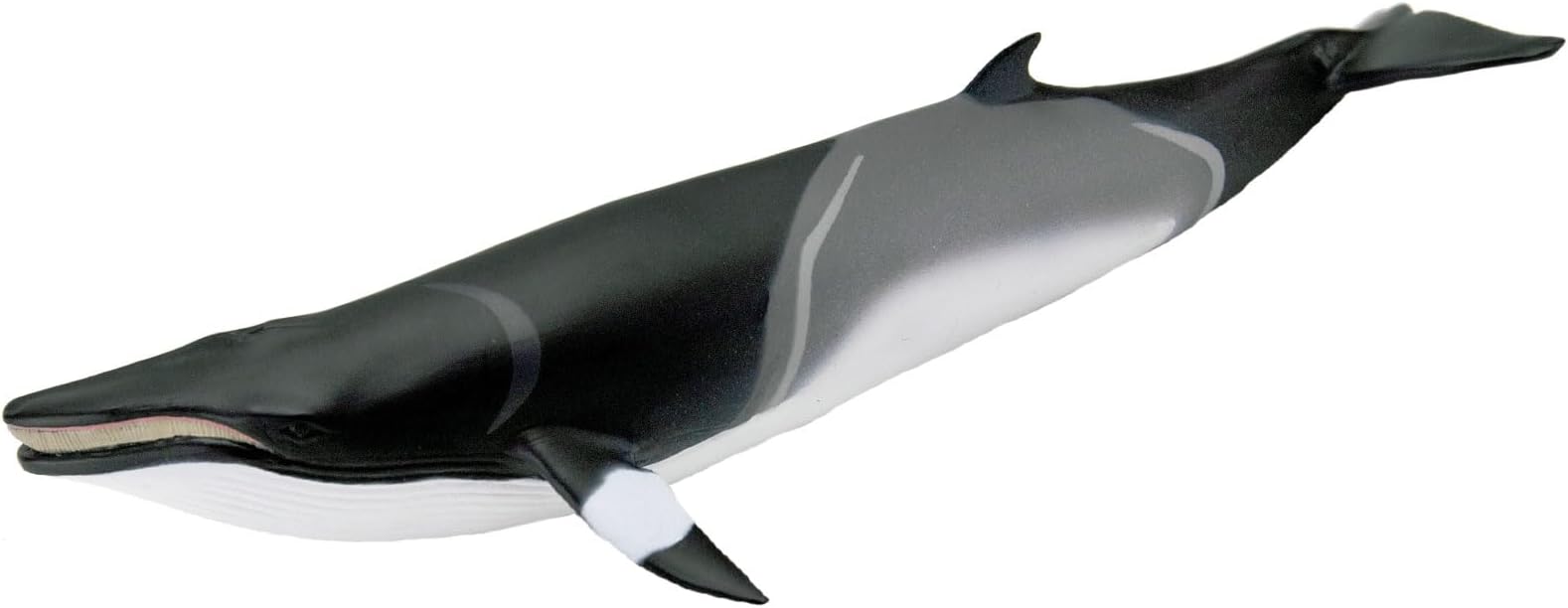 Minke Whale Figurine - Hand-Painted, Lifelike 7" Model Figure - Educational Sea Life Toy for Boys, Girls & Kids Ages 3+