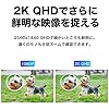 TP-Link WiFi ネットワークカメラ 屋外カメラ 防犯カメラ 2K QHD 照明 ライト 搭載 3年保証 音声通話可能 3年保証 Tapo C320WS #3