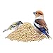 Paul´s Mühle Erdnüsse für Vögel, Erdnusskerne gehackt, 10 kg Neue Ernte 2025