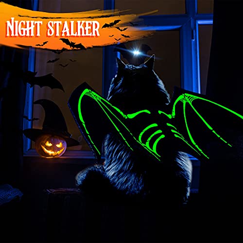 Disfraz Halloween para Perros y Gatos 6 Piezas miniatura 4