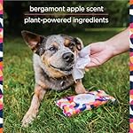 PL360 Dog Grooming Wipes for Cleansing & Deodorizing | Pet Wipes for Dogs, Cats, Puppies & Kittens | Mandarin Scent | Eco Friendly, Natural and Safe Ingredients | 40 Count - Image 3