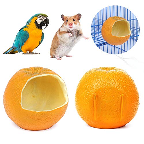 Funsquare Bird Feeders Hanging - Bird Feeder Hamster Anti-spread Hanging Fixed Feeder Bird Food Box