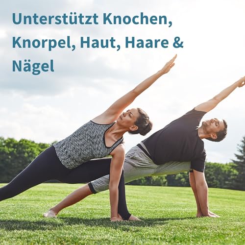 Collagen Hydrolysat Peptide aus zertifizierter Weidehaltung - Premium Rinder Kollagen Protein Pulver, Optimale Löslichkeit, 400g, von Igennus