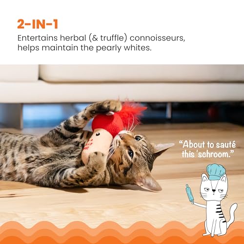 Image of Catstages A Really Fungi Cat Kicker Toy with Catnip and Dental Mesh, Mushroom Shape, Plush and Feather Cat Toy for Kicking, Tossing, and Teeth Cleaning, Red