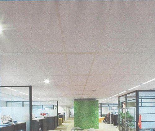 Rockfon Ekla faux plafond en panneau de laine de roche 60 x 60 cm