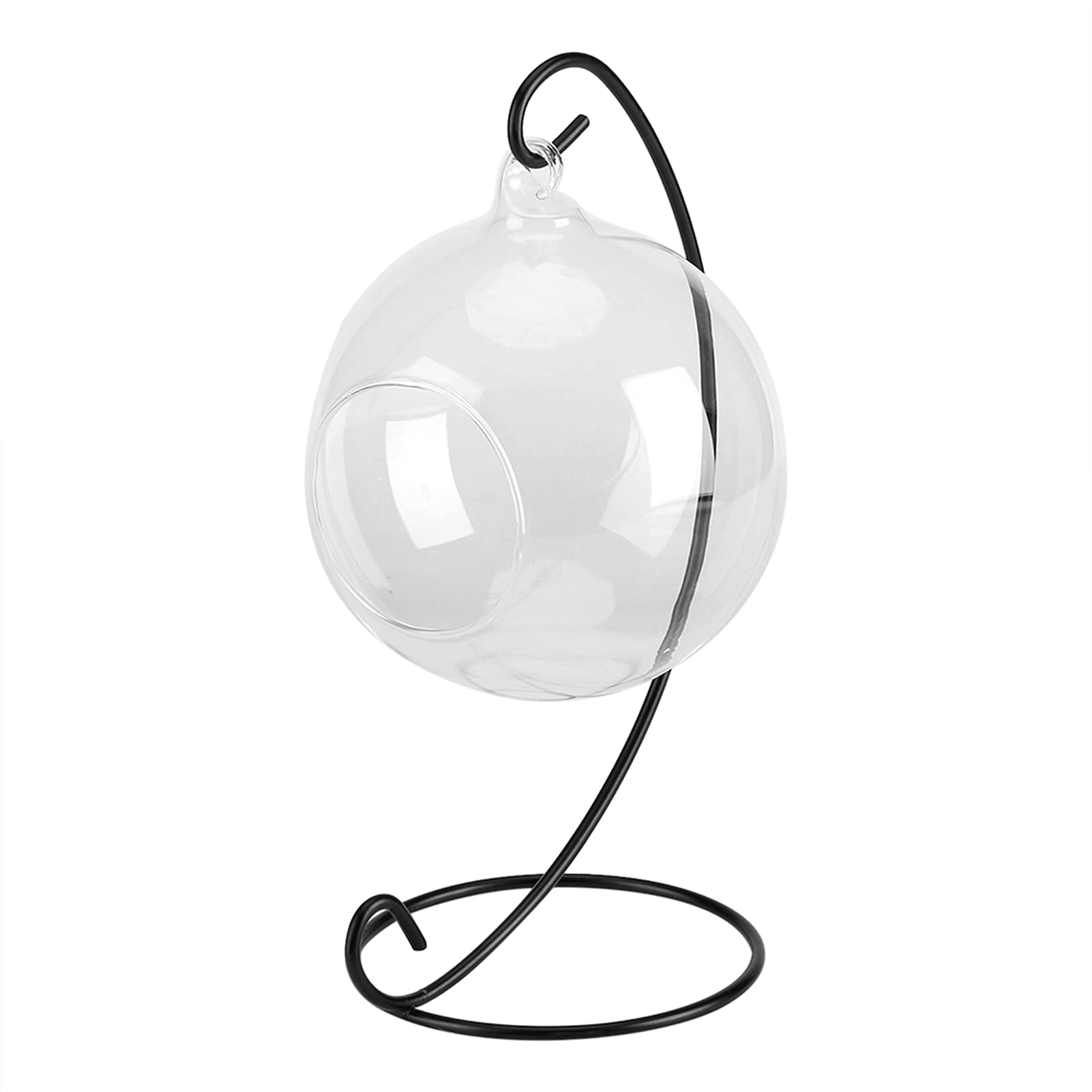 エアープランツ付きガラスハンギングテラリウム エアプランツが主役の吊るせるガラステラリウム | botanical life