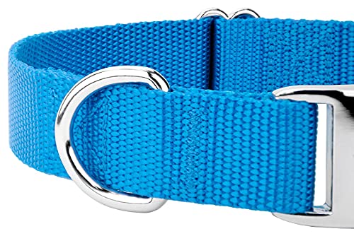 Country Brook Design - Vibrant 25+ Color Selection - Premium Nylon Dog Collar With Metal Buckle (Large, 1 Inch, Ice Blue) #TOP7