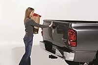 Vista 9 de Dee Zee Portón de asistencia DZ43300