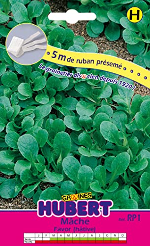 Ruban Présemé Graines de Mâche Favor