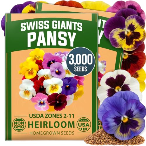 Image of HOME GROWN Pansy Swiss Giant | 3000 Flower Seeds for Planting Outdoors | Mixed Colors | Heirloom Non-GMO Viola Seeds | Cool-Season Fall & Spring Blooms | 2026