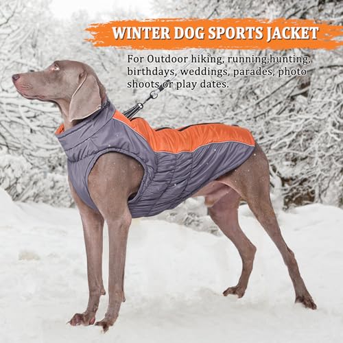 Vivi Bear Wasserdichter Hundemantel Winter Warme Hundejacke, Hundebekleidung Outfit für Mittel Große Hunde, Hundeweste Skibekleidung mit Sicheren Reflexstreifen und D-Ring, Orange XL