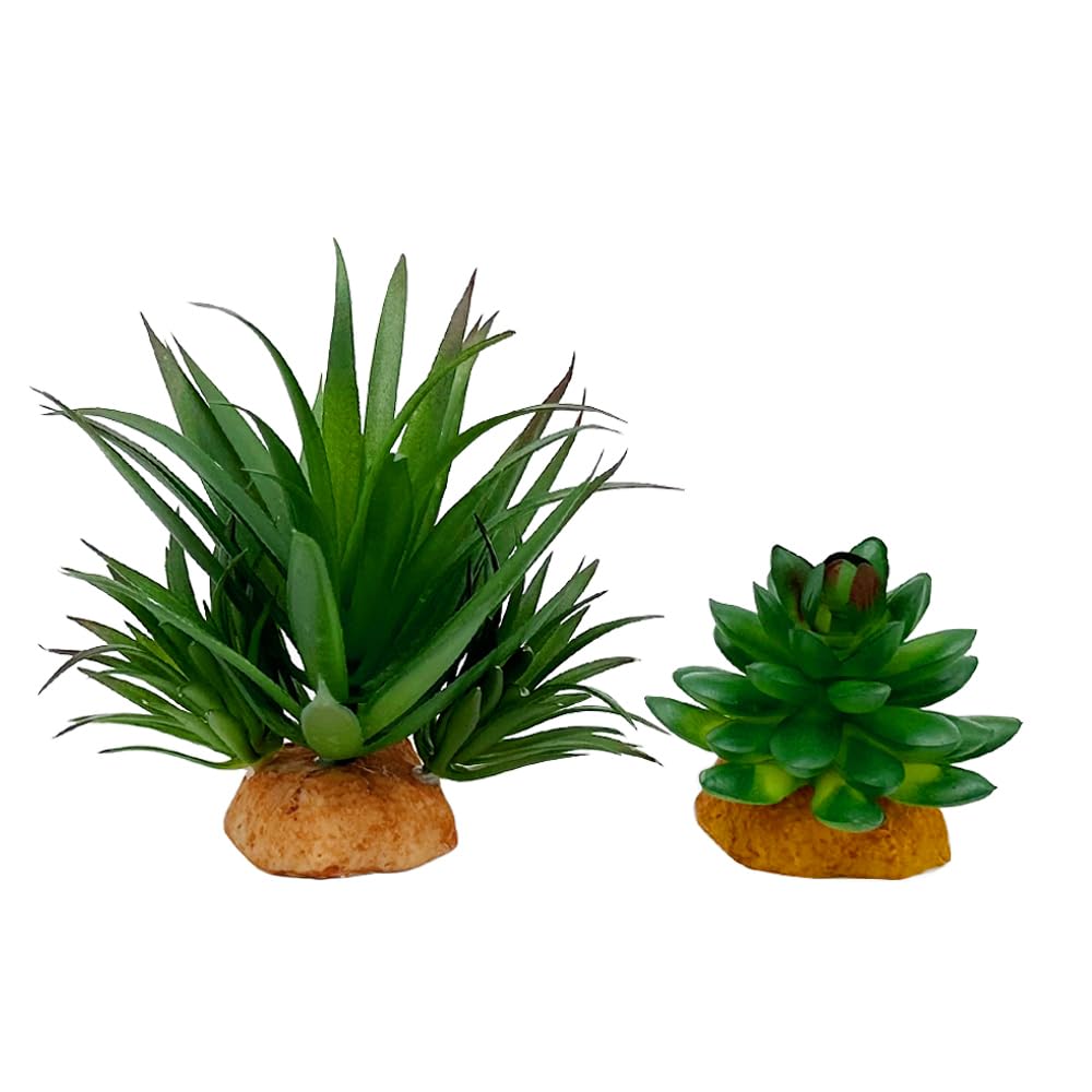 Reptile Artificial Plants Succulent Terrarium Decor Desert Rain Forests Plant Lizard Bearded Dragon Chameleon Gecko Snake Amphibian Habitat Hideout Turtle Tank Accessories (Green-2pcs-Set)