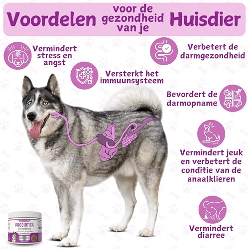 Probiotica Hond – Honden Supplementen – Ondersteunt de spijsvertering en draagt bij aan een gezonde darmbalans - Afbeelding 3