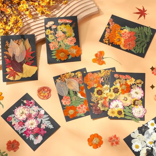 Flores secas prensadas naturales pack 200 piezas miniatura 4