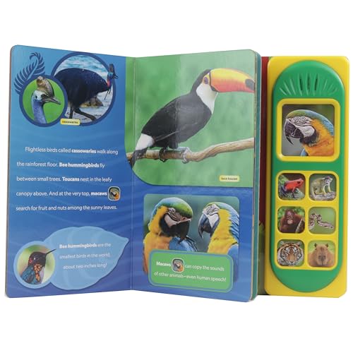 National Geographic Kids - Amazing Animals! 7-Button Animal Sound Book - Nat Geo - PI Kids - Image 4