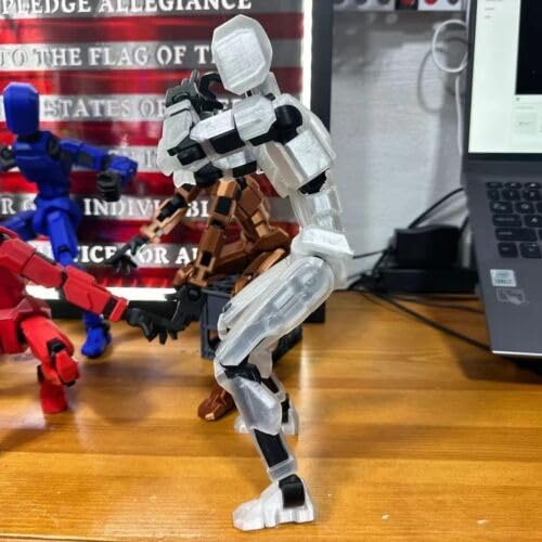 Image of DANONI Titan 13 Action Figure, Lucky Robot Action Figures,Creative 3D Printed Action Figure,Multi Jointed Action Figures Desktop Decorations for Kids Adult(Transparent-Assembly Completed)