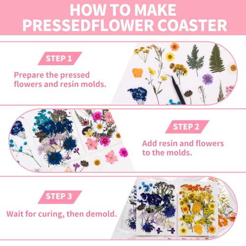 Kit de flores prensadas naturales secas para manualidades miniatura 5