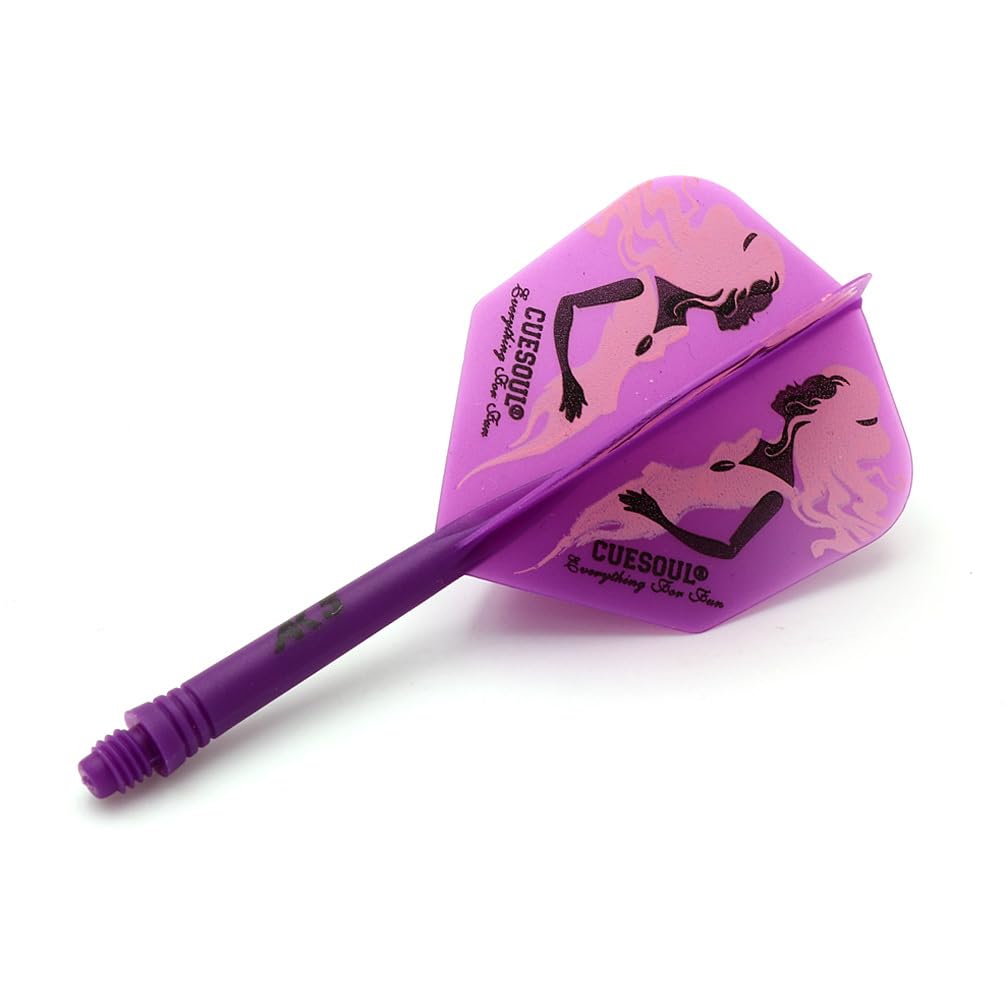 CUESOUL 6 Piezas Rost Eje de dardo Integrado y Plumas - 3