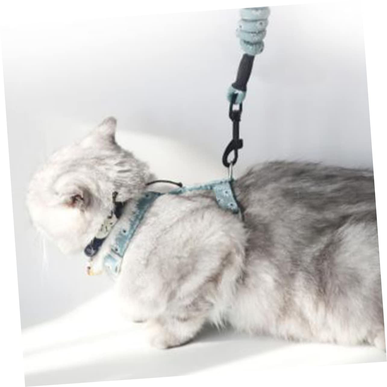 Yardwe 3 Stücke Katze Bequeme Gurt Seil Pet Supplies Design Licht Grün Für Katze Kätzchen