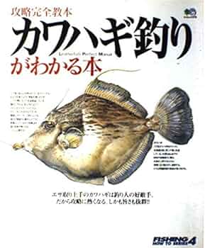 釣り 本 51kdssGw7OL._UF350,350_QL50_.jpg
