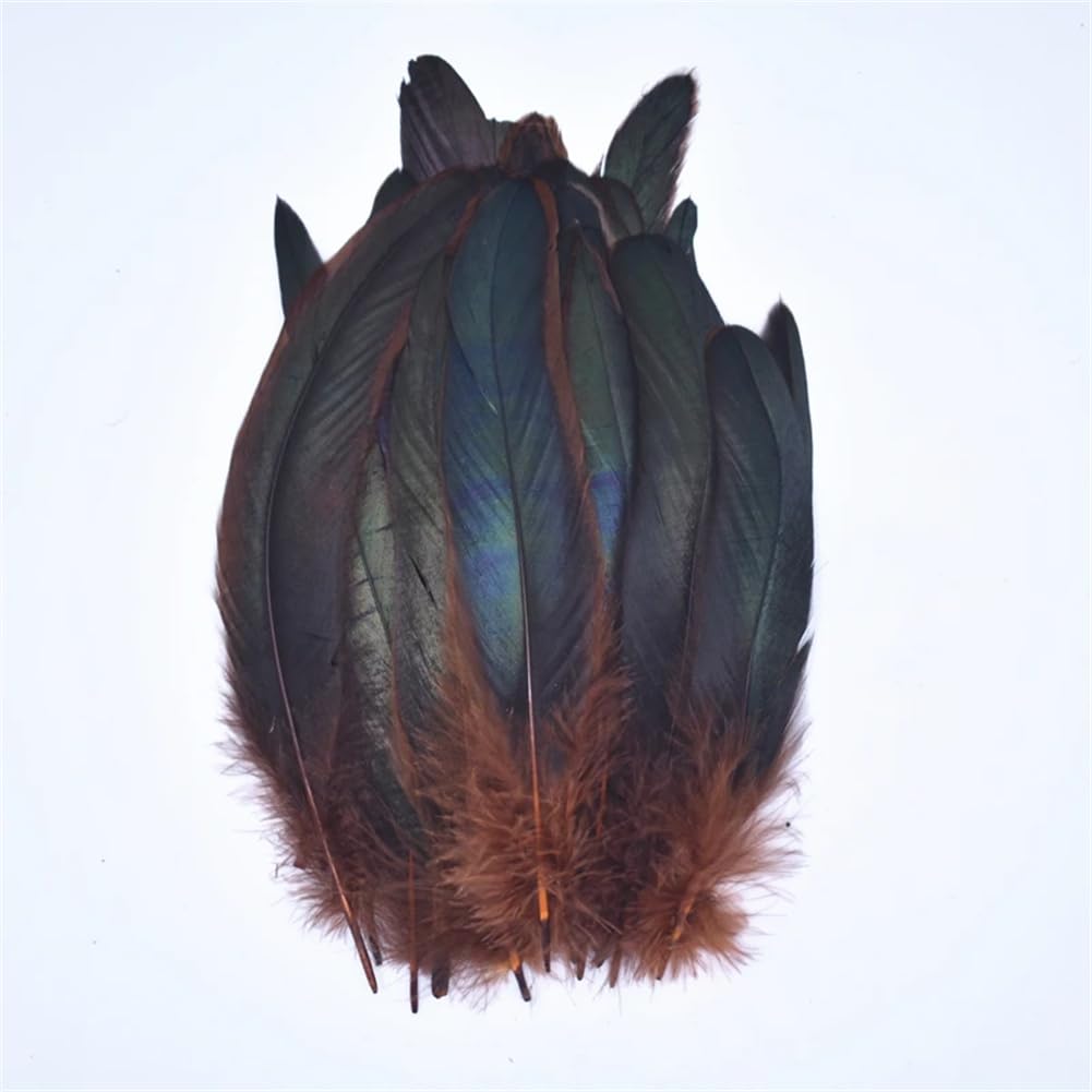 Natural Pheasant Feathers, Natural Pheasant Rooster Feathers, Craft, 50 Pcs Multicolor Fly Tying & Crafts(Brown)