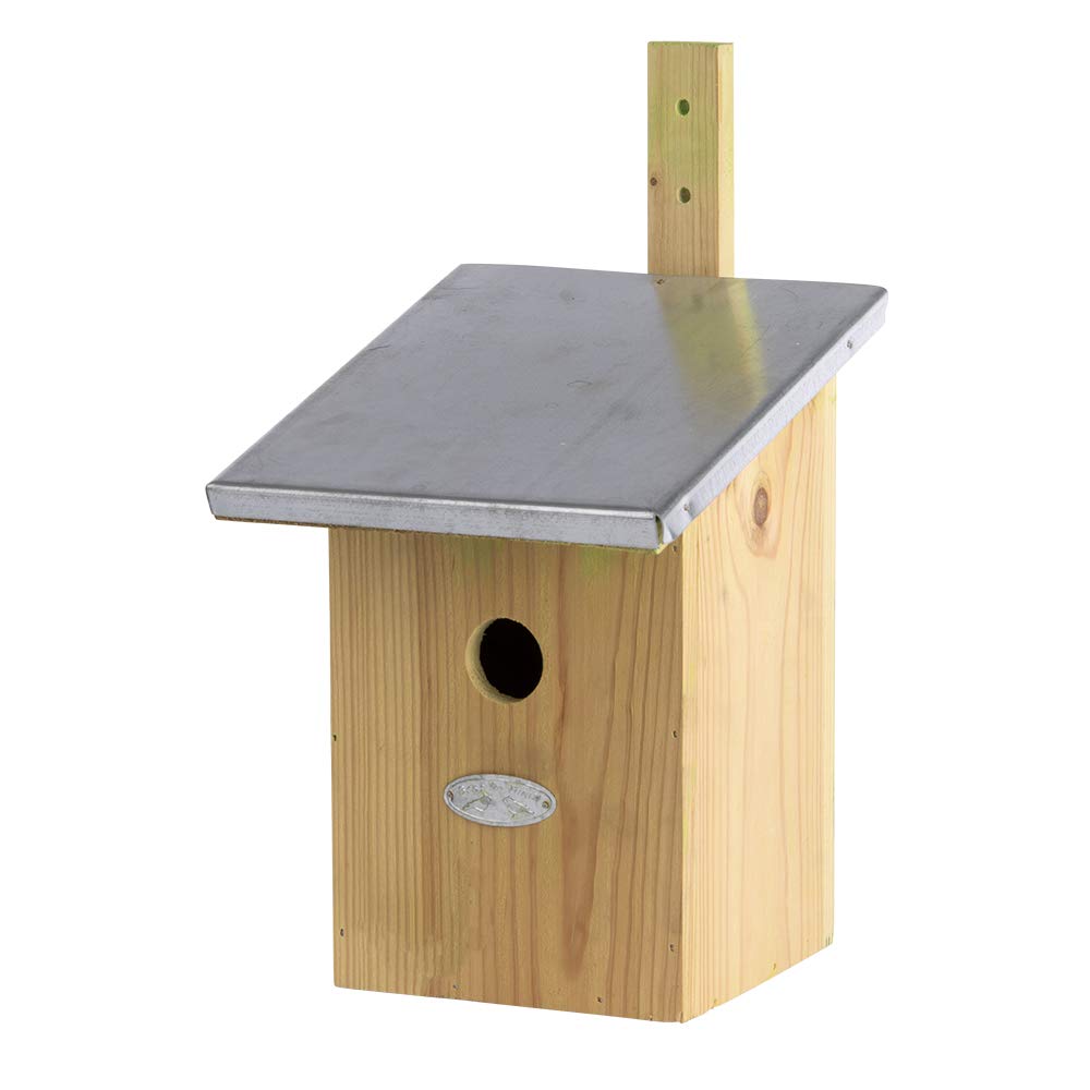 Nichoir Miroir oiseaux cabane bois observation jardin abri nidification