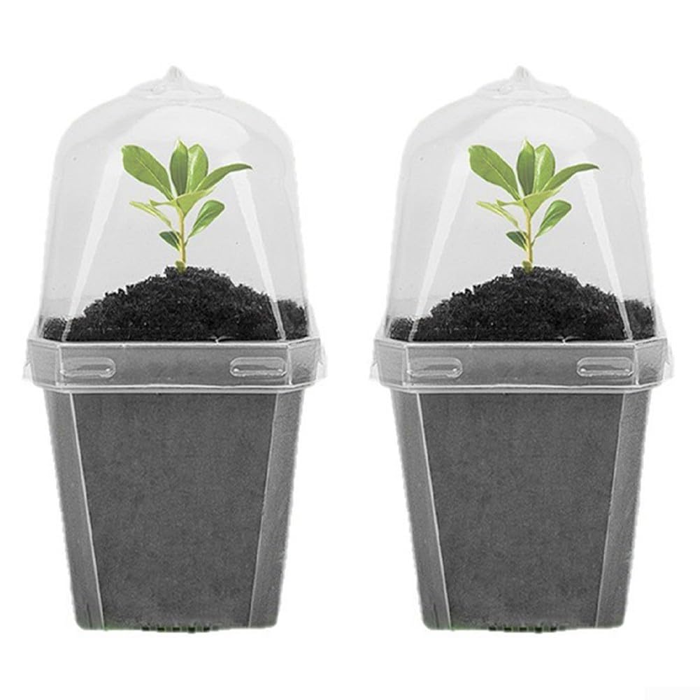 Clear Plastic Plant Pots with Humidity Dome, 3 Inch Nursery Containers for Succulents, For Mini Greenhouse Propagator with Lid, For for Small Indoor Garden and Herb Growing(2pcs)