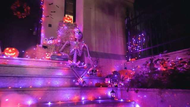 Halloween Night リゼ SP RECESKY 2Pack 20 LED Purple Spider String Lights with Timer