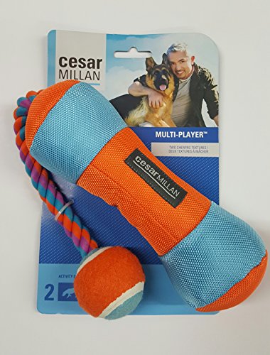 Cesar Millan - Juguete para Masticar para Perros (tamaño Mediano) Cover