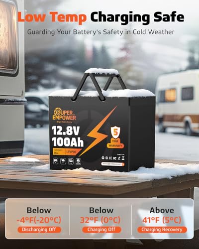 12V 100Ah LiFePO4 Group 24 Battery