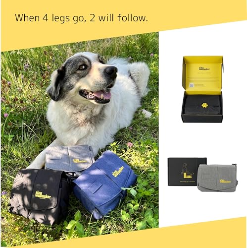 Arrivly SixWalker Leckerlibeutel für Hunde mit Magnetverschluss, Praktischer Futterbeutel Hundetraining, Multifunktionaler Leckerlitasche für Hunde mit Herausnehmbaren Innentasche (Grau)