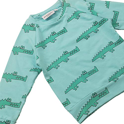 HTHY Baby Toddlers Boys Sweatshirts Cotton Crewneck Long Sleeve Pullover Dinosaur Tops Tees (Crocodile Theme, 3-4T)