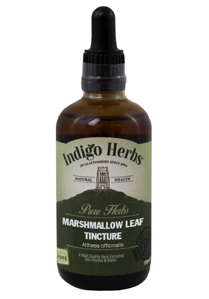 Indigo Herbs Teinture de Racine de Guimauve 100ml