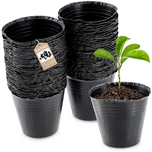 KADAX Macetero para plantas de semillero, macetas redondas de plástico, macetas de cultivo para semillas, macetas para plántulas, maceta de plástico (diámetro 6 cm, 100 unidades, negro)