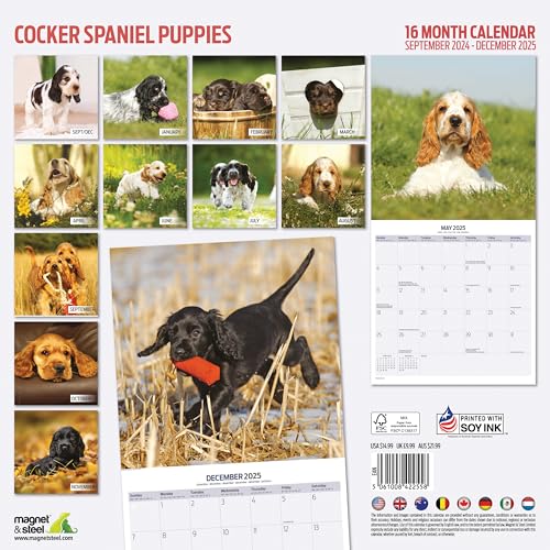 Cocker Spaniel Puppies 2025 Calendar, Various - Image 2