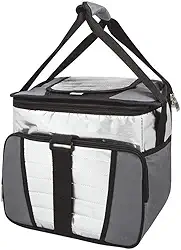 Mor - Ice Cooler 24 Litros com 1 Divisória