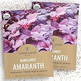 Organic Burgundy Amaranth Seeds – Two Seed Packets! – Over 1,000 Open Pollinated Non-GMO USDA Organic Seeds - 'Red Burgundy Amaranth'…