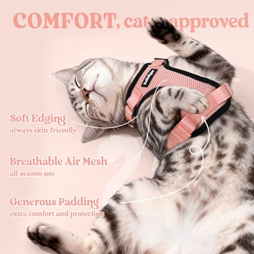 Image of rabbitgoo Cat Harness and Leash Set, Escape Proof Vest, Light Salmon Pink | Soft Breathable Mesh, Easy Adjustable Fit, Snap Buckles, Sturdy Clip, Reflective Strips, for Small & Average Cats Walks, Xs