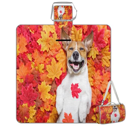 Shimoshe Picnic Blankets 57”x 59”, Autumn Leaves Dog Waterproof Sandproof Picnic Mat Lightweight Foldable Beach Blanket for Camping Park Grass Beach Outdoor Blanket