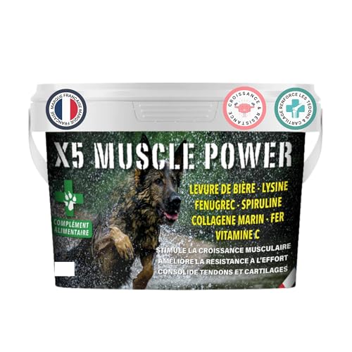 complément alimentaire chien Muscle Power x5 – croissance musculaire, force, endurance et récupération – fourni avec cuillère doseuse – chiot adulte...