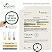 Colon Care Complex Vegavero® | Detox + Digestión + Limpieza Intestinal +...