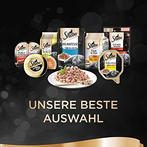 Sheba Sauce Lover – Feine Lachshäppchen (MSC) mit Sauce für ausgewachsene Katzen – 22 x 85g Katzennahrung in der Schale