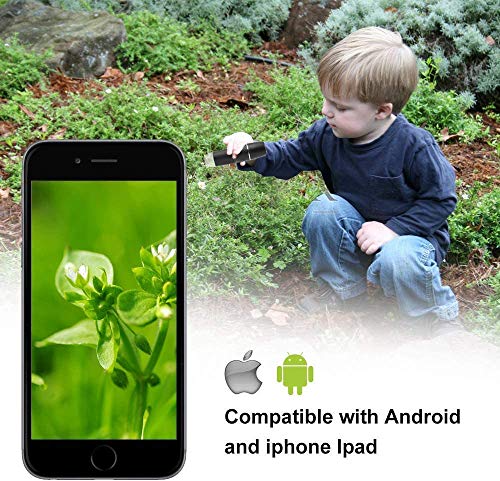 WiFi mikroskop,XVZ 50X bis 1000x Digital Mikroskoplupe, Mini-Taschen-Handmikroskopkamera mit Lichtkompatibel für iPhone… – Bild 8