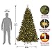 National Tree Company Pre-lit Artificial Christmas Tree | Includes Pre-strung Multi-Color LED Lights and Stand | North Valley Spruce - 7.5 ft