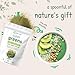 Micro Ingredients Super Greens Powder, 1lb | 100 Superfood Blend with Daily Greens, Fruits, Vegetables, Mushrooms & Probiotics | Source of Vegan Protein & Enzymes | Non-GMO, Gluten-Free, No Additives