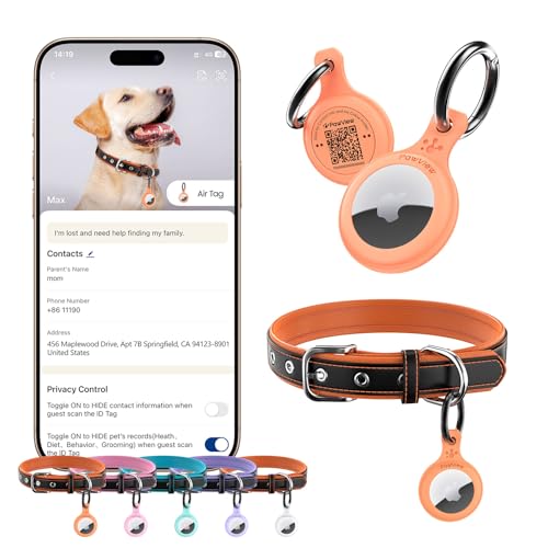 Collier chien cuir AirTag réglable personnalisé avec code QR anti-perte pour petit chien