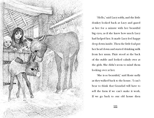 Lucy's Magical Surprise