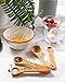 Talisman Designs Laser Etched Beechwood | Set of 4 | Woodland Design | Natural, Wooden Measuring Spoons Set| Cute & Functional Kitchen Tools