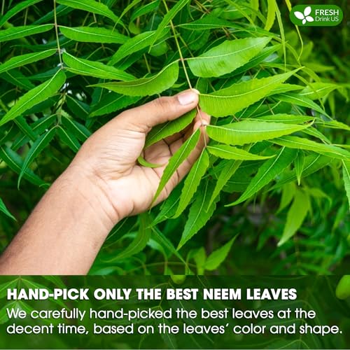 Image of FRESHDRINKUS Premium 6oz Neem Leaves, 100% Natural & Pure, Wild Harvested, Cut & Sifted, Neem Leaf Herbal Tea, No Additives, No Caffeine, Vegan