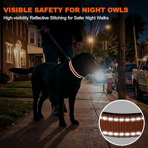 Image of Taglory Reflective Large Dog Collar, Comfort for Safe Night Walks, Orange